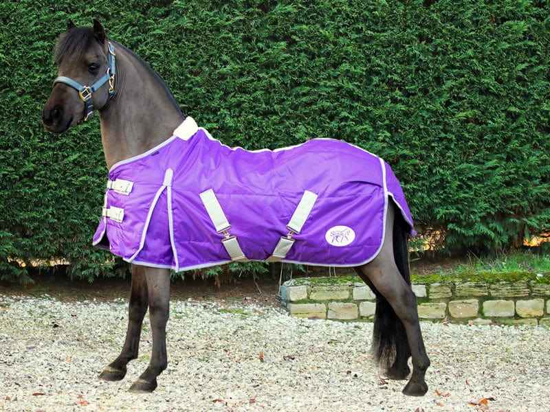 Mini 100g Stable Rug - Purple - Pet Supplier Store
