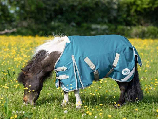 MINI 100g Turnout Rug - Turquoise - Pet Supplier Store