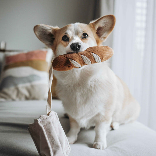 Mini Baguette enrichment dog toy - Pet Supplier Store