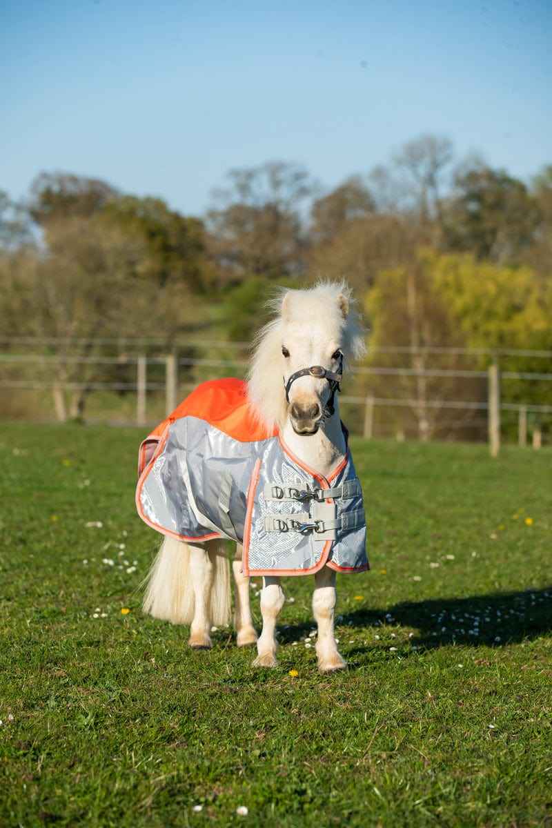 MINI Fly Turnout Combination Rug - Orange/Grey - Pet Supplier Store