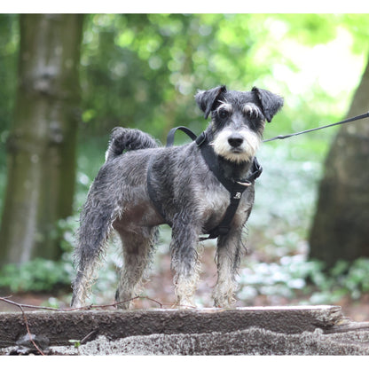 Mini Waterproof Harness - Pet Supplier Store