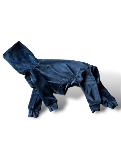 Mink Velour Jersey Suit - Navy Blue - Pet Supplier Store