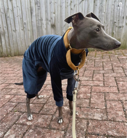 Mink Velour Jersey Suit - Navy Blue - Pet Supplier Store