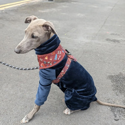 Mink Velour Jersey Suit - Navy Blue - Pet Supplier Store