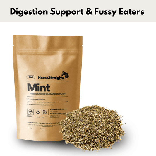 Mint - Pet Supplier Store