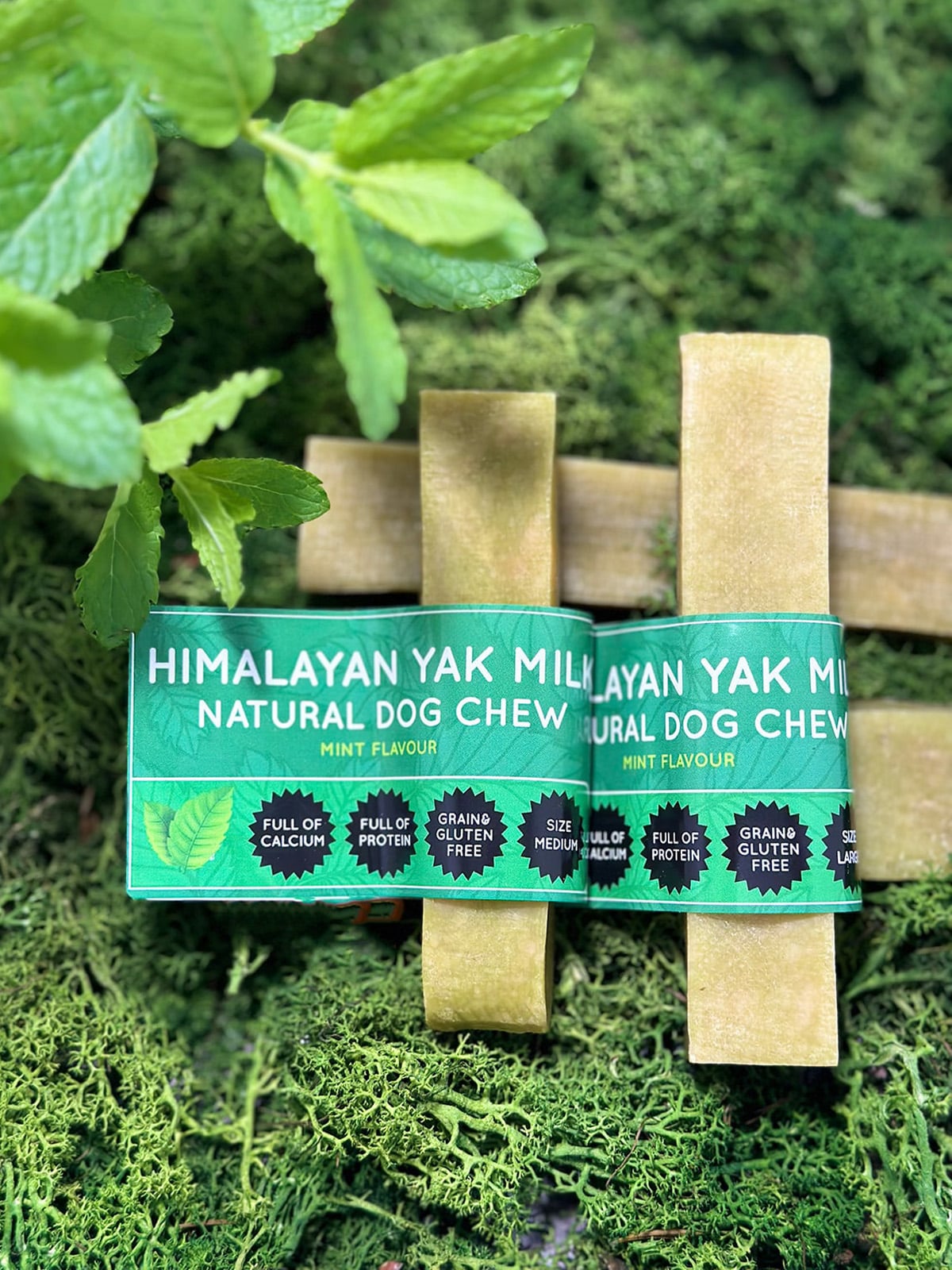 Mint Yak Dog Chew - Pet Supplier Store