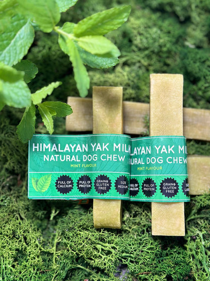 Mint Yak Dog Chew - Pet Supplier Store