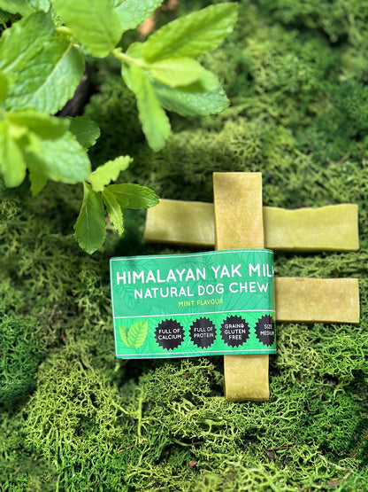 Mint Yak Dog Chew - Pet Supplier Store