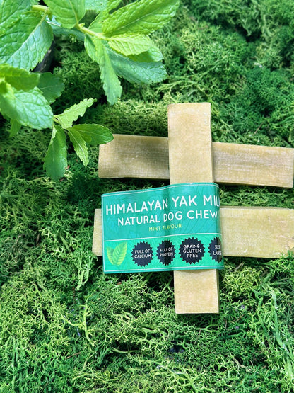 Mint Yak Dog Chew - Pet Supplier Store