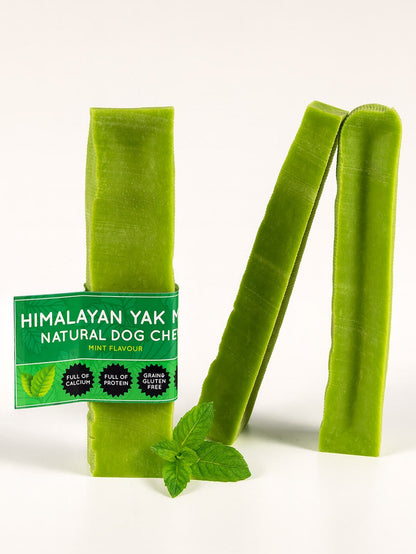 Mint Yak Dog Chew - Pet Supplier Store