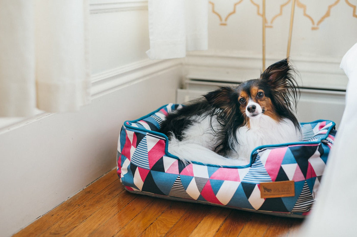 Mosaic Soda Pop Lounge Bed - Pet Supplier Store