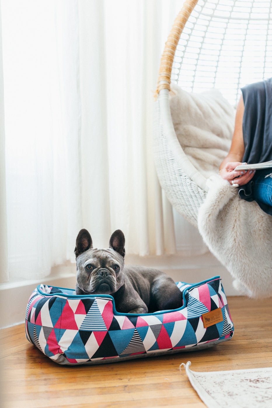 Mosaic Soda Pop Lounge Bed - Pet Supplier Store
