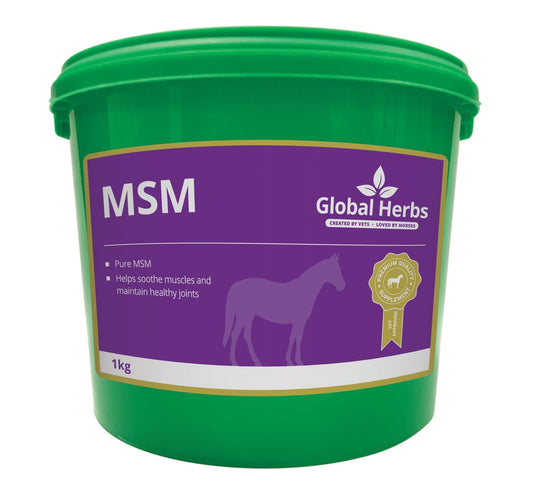 MSM 1kg - Global Herbs - Pet Supplier Store