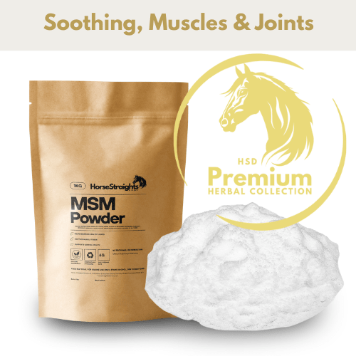 MSM - Pet Supplier Store