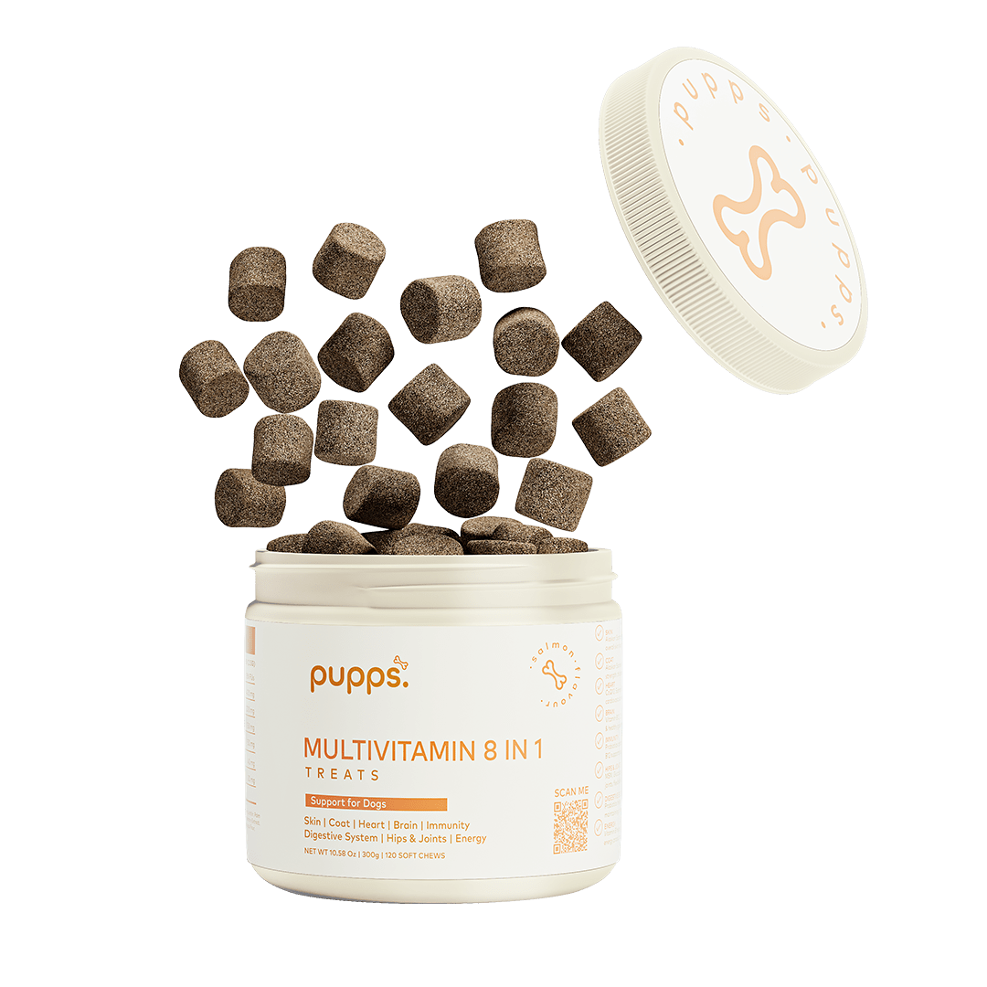 Multivitamin Treats - Pet Supplier Store