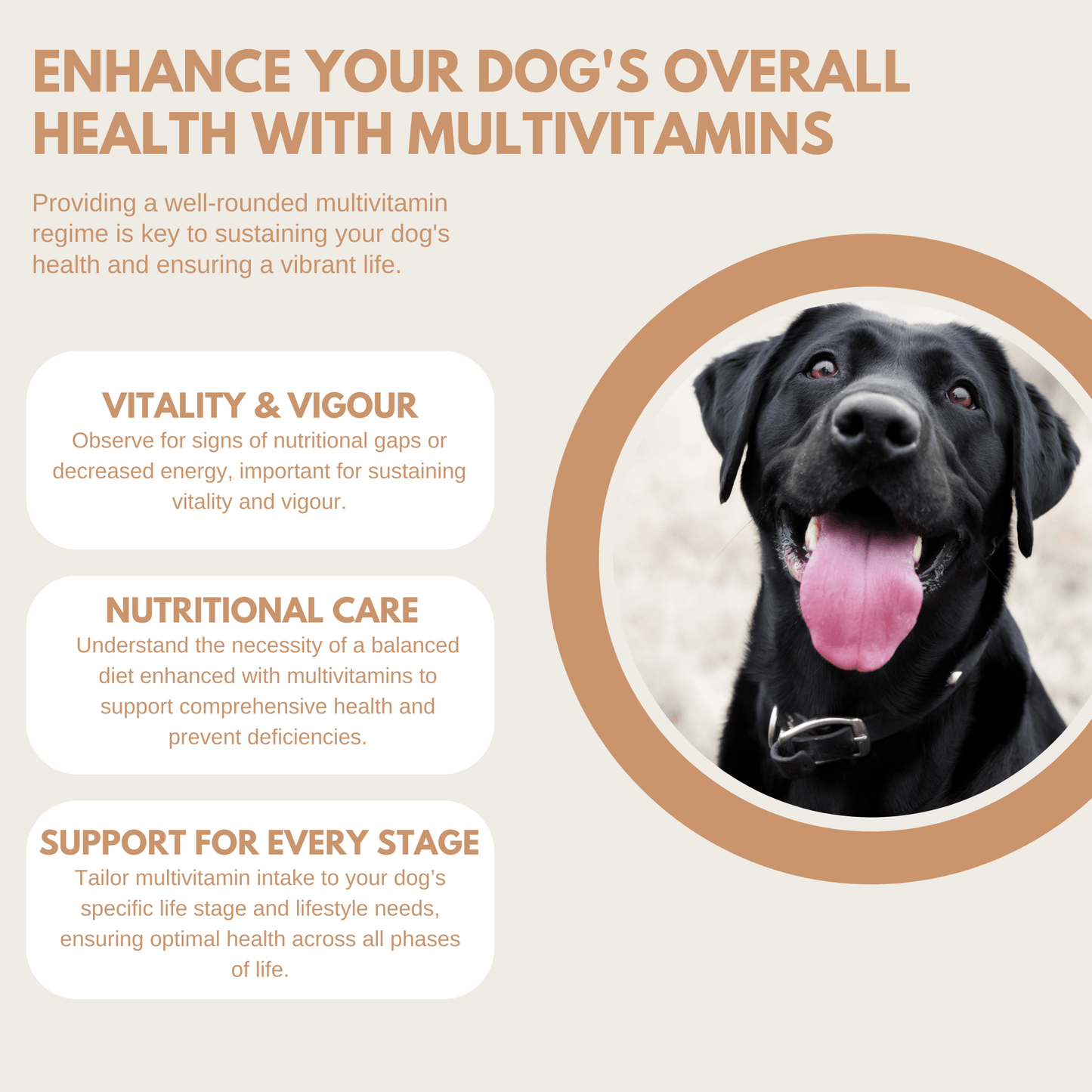 Multivitamin Treats - Pet Supplier Store