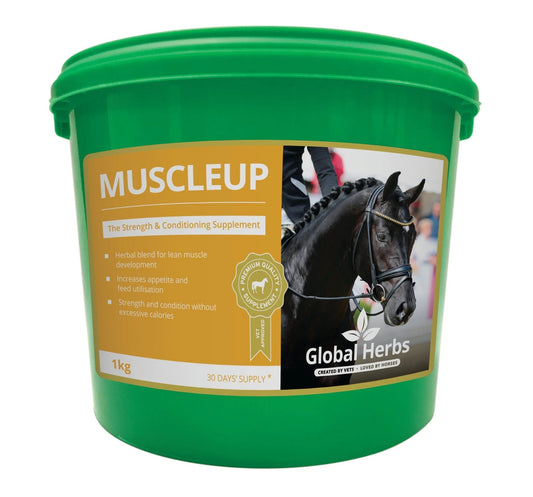 MuscleUp 1kg - Global Herbs - Pet Supplier Store