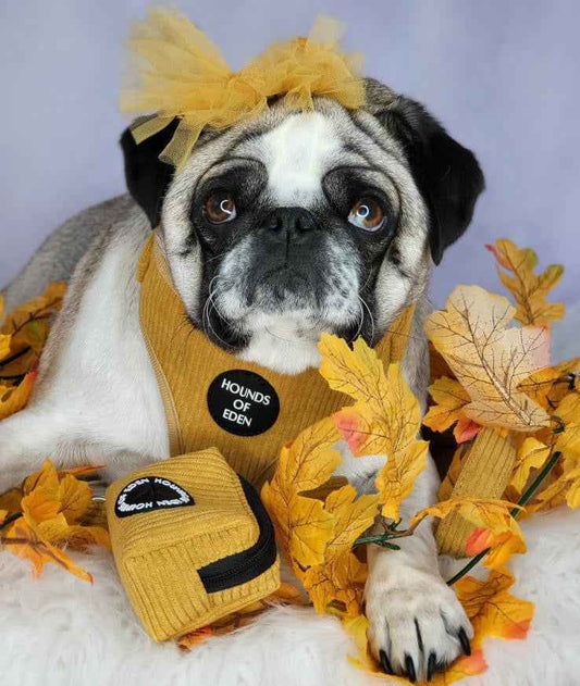Mustard Yellow Corduroy Poop Bag/Treat Holder - Pet Supplier Store