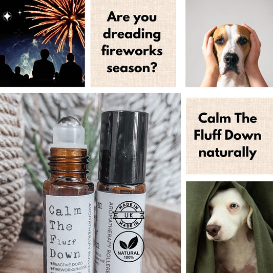 Natural Aromatherapy Rollerball For Dogs - Pet Supplier Store