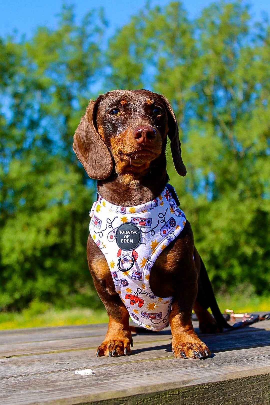 Nintendawg Design Poop Bag Holder - Pet Supplier Store