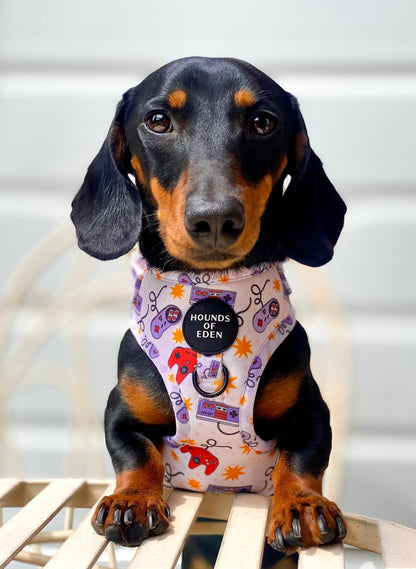 Nintendawg Design Poop Bag Holder - Pet Supplier Store