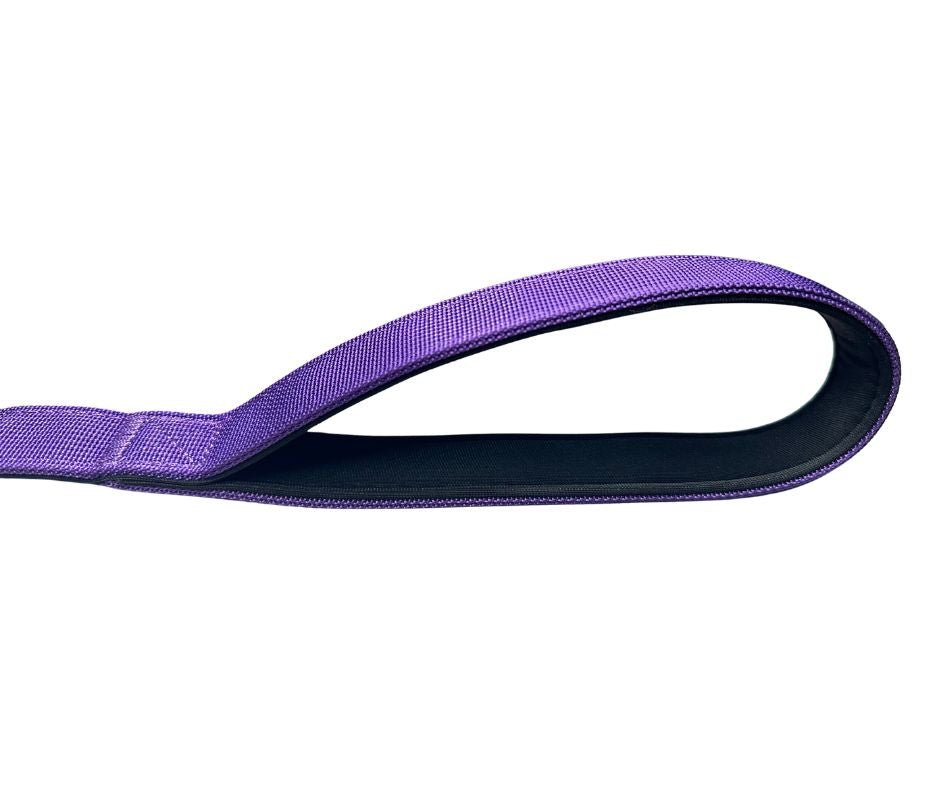 Nylon BTactical™ Carabiner Clip Lead | Lavender Purple - Pet Supplier Store