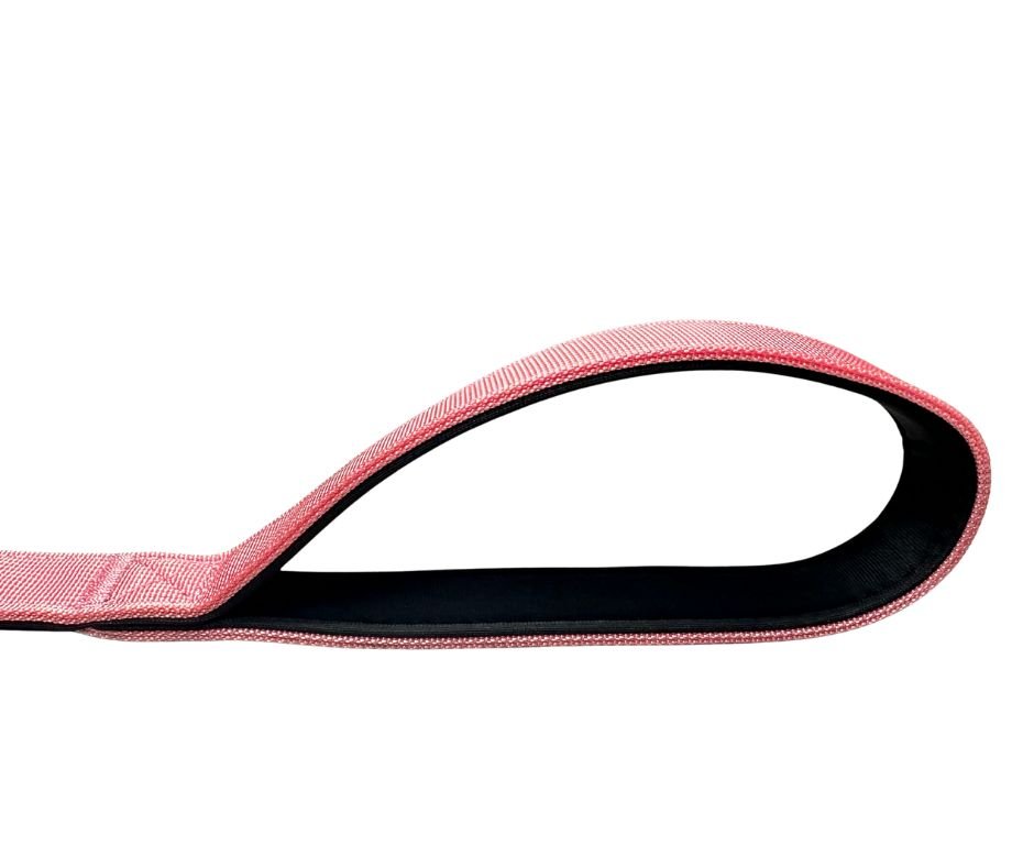 Nylon BTactical™ Carabiner Clip Lead | Pretty Pink - Pet Supplier Store