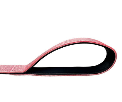 Nylon BTactical™ Carabiner Clip Lead | Pretty Pink - Pet Supplier Store