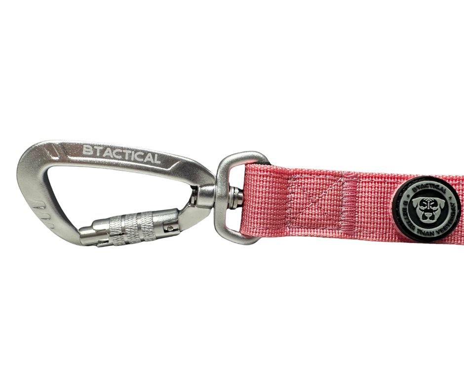 Nylon BTactical™ Carabiner Clip Lead | Pretty Pink - Pet Supplier Store