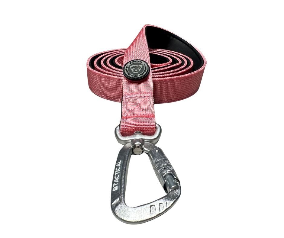 Nylon BTactical™ Carabiner Clip Lead | Pretty Pink - Pet Supplier Store