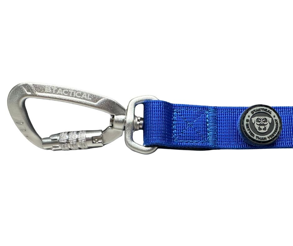 Nylon BTactical™ Carabiner Clip Lead | Royal Blue - Pet Supplier Store