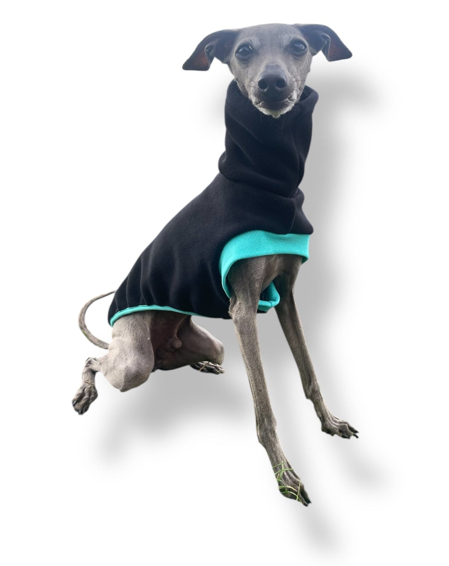 Open-Leg Fleece Vest - Black & Aqua - Pet Supplier Store