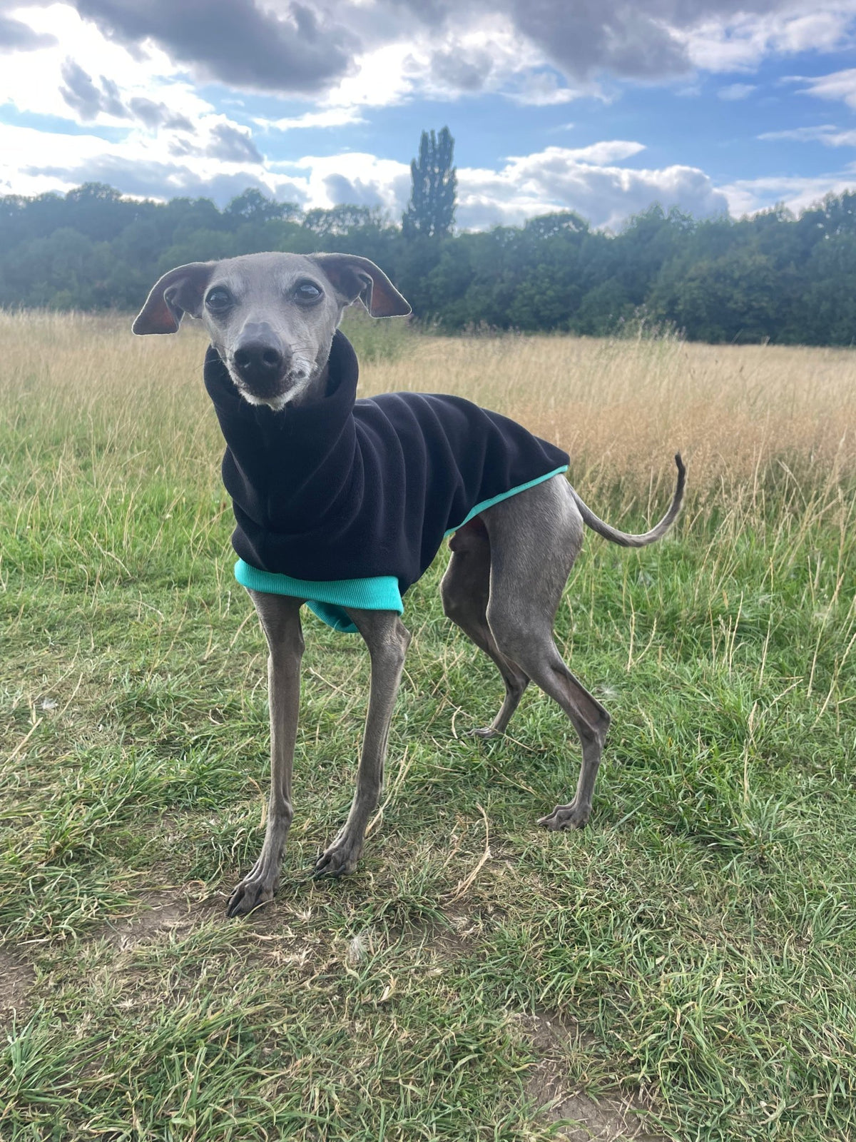 Open-Leg Fleece Vest - Black & Aqua - Pet Supplier Store