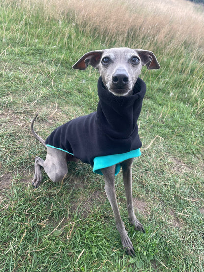 Open-Leg Fleece Vest - Black & Aqua - Pet Supplier Store