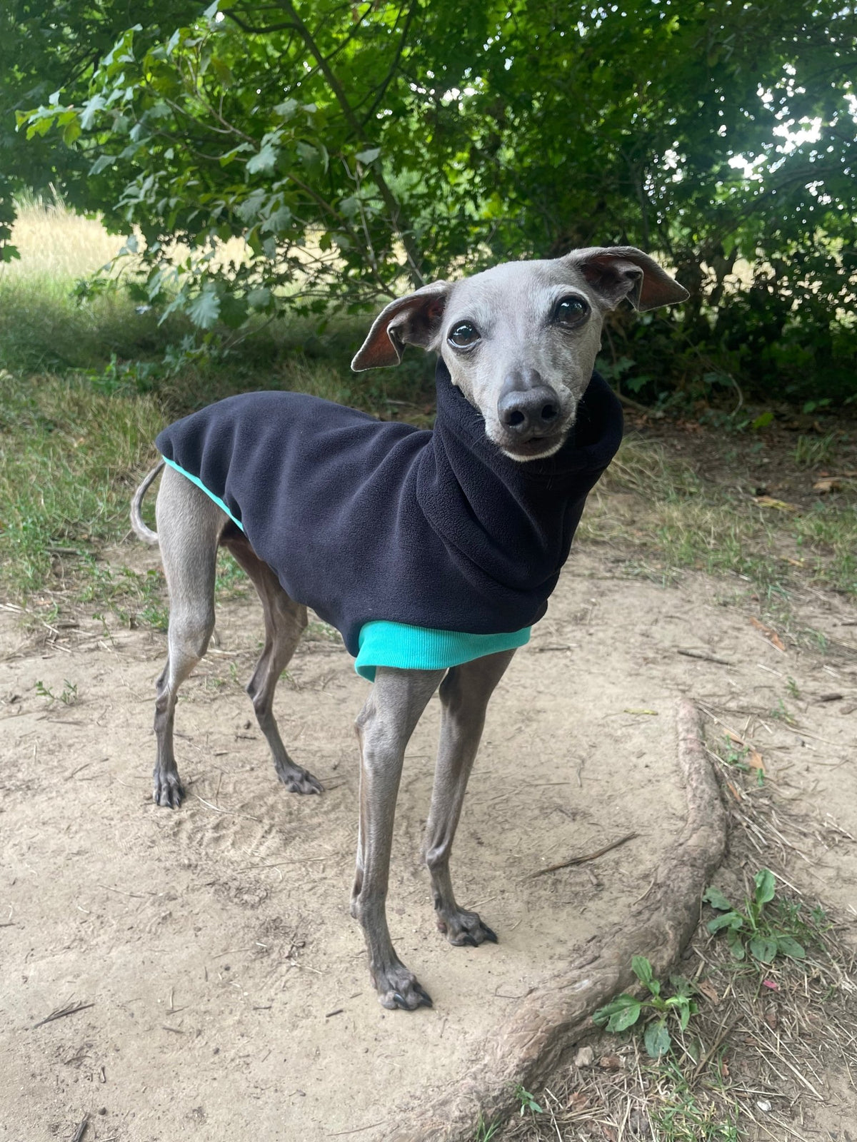 Open-Leg Fleece Vest - Black & Aqua - Pet Supplier Store