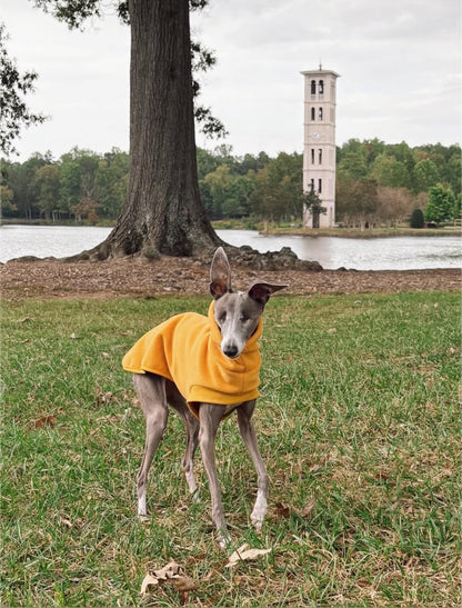 Open-Leg Fleece Vest - Black & Aqua - Pet Supplier Store