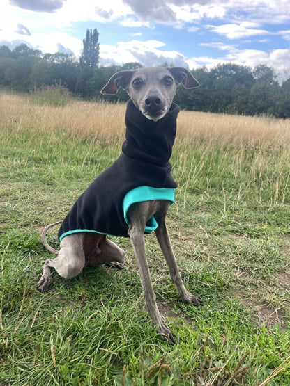 Open-Leg Fleece Vest - Black & Aqua - Pet Supplier Store