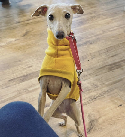 Open-Leg Fleece Vest - Black & Aqua - Pet Supplier Store