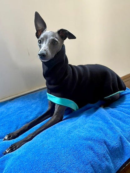 Open-Leg Fleece Vest - Black & Aqua - Pet Supplier Store