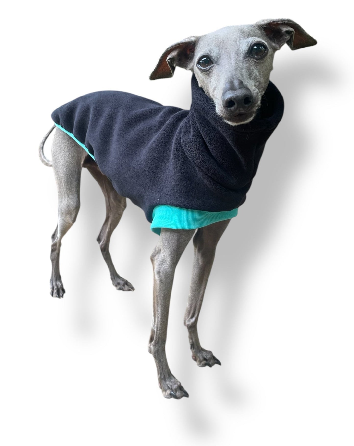 Open-Leg Fleece Vest - Black & Aqua - Pet Supplier Store