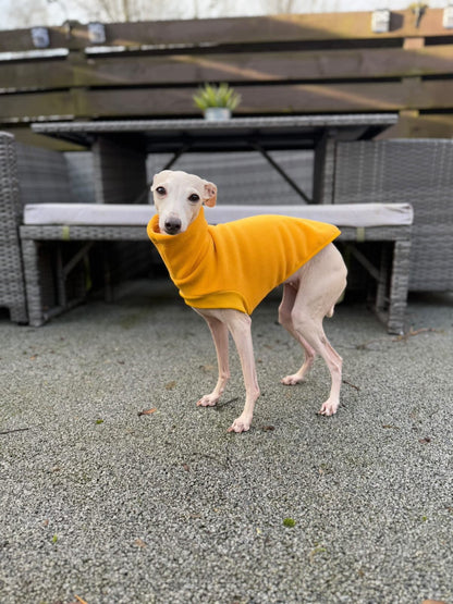 Open-Leg Fleece Vest - Black & Aqua - Pet Supplier Store