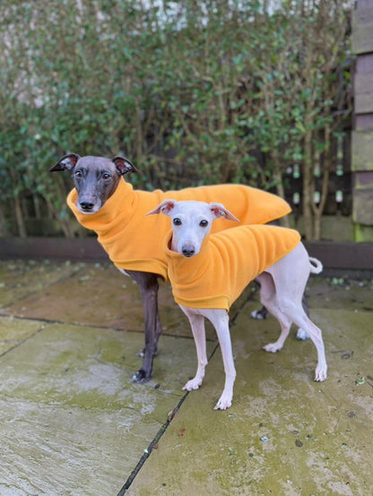 Open-Leg Fleece Vest - Black & Aqua - Pet Supplier Store