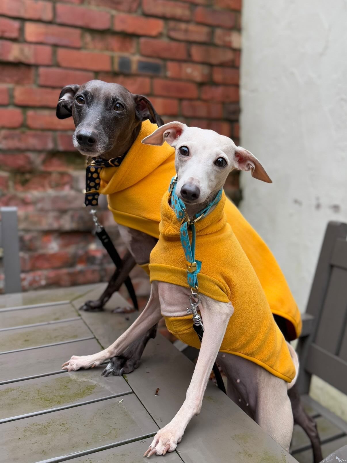 Open-Leg Fleece Vest - Coral - Pet Supplier Store