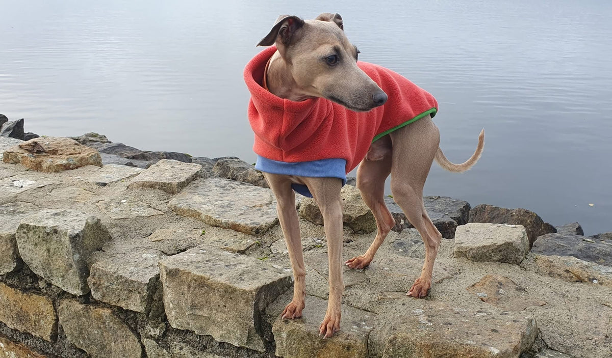 Open-Leg Fleece Vest - Coral - Pet Supplier Store