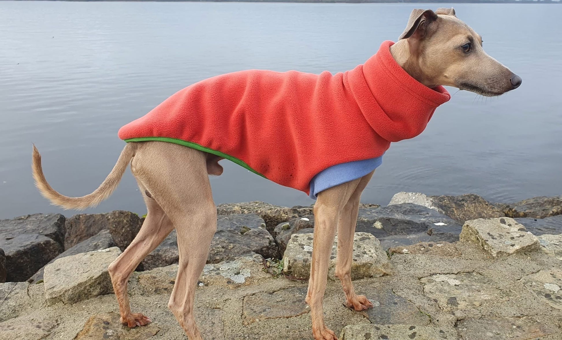 Open-Leg Fleece Vest - Coral - Pet Supplier Store