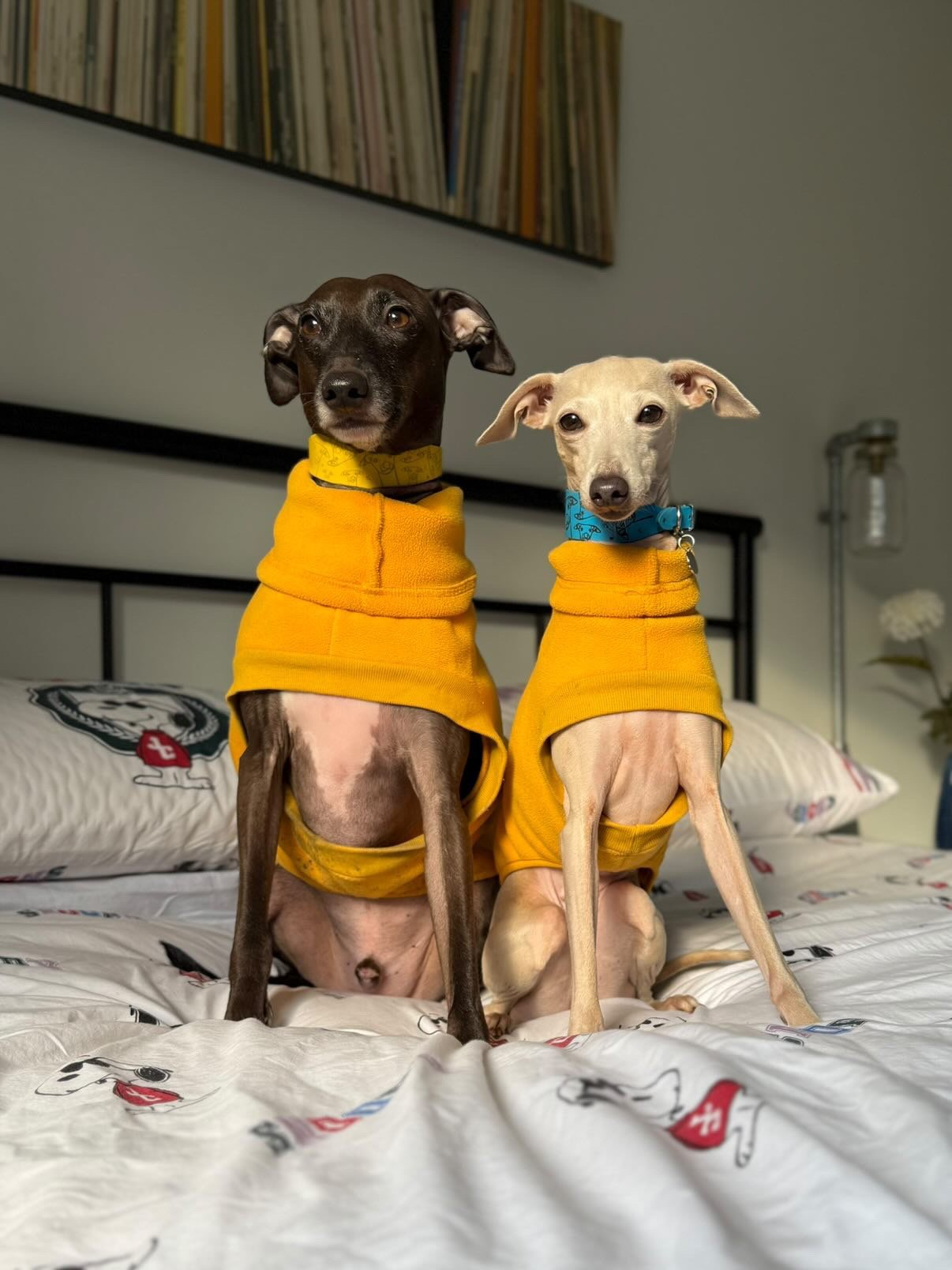 Open-Leg Fleece Vest - Coral - Pet Supplier Store