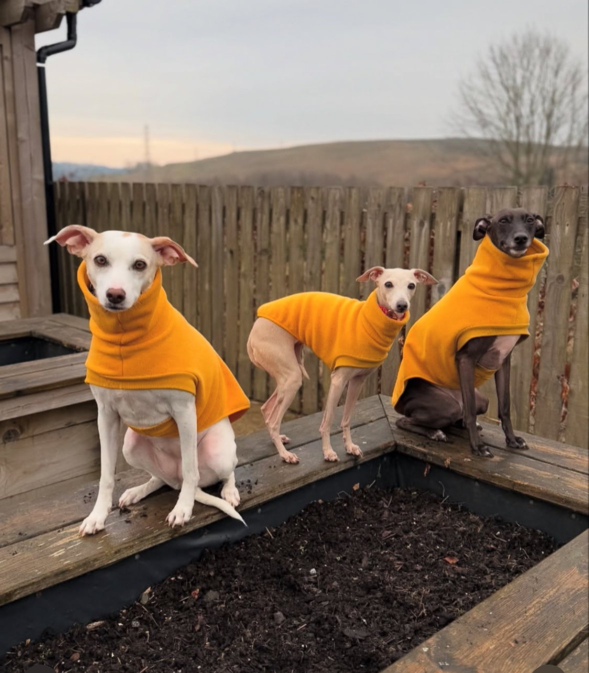 Open-Leg Fleece Vest - Coral - Pet Supplier Store