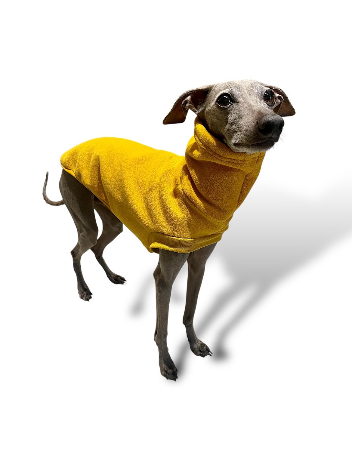 Open-Leg Fleece Vest - Yellow - Pet Supplier Store