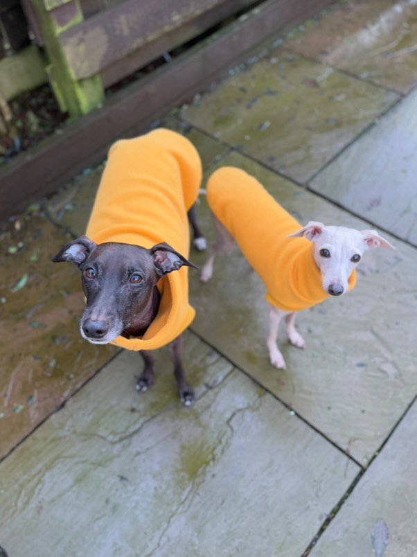 Open-Leg Fleece Vest - Yellow - Pet Supplier Store