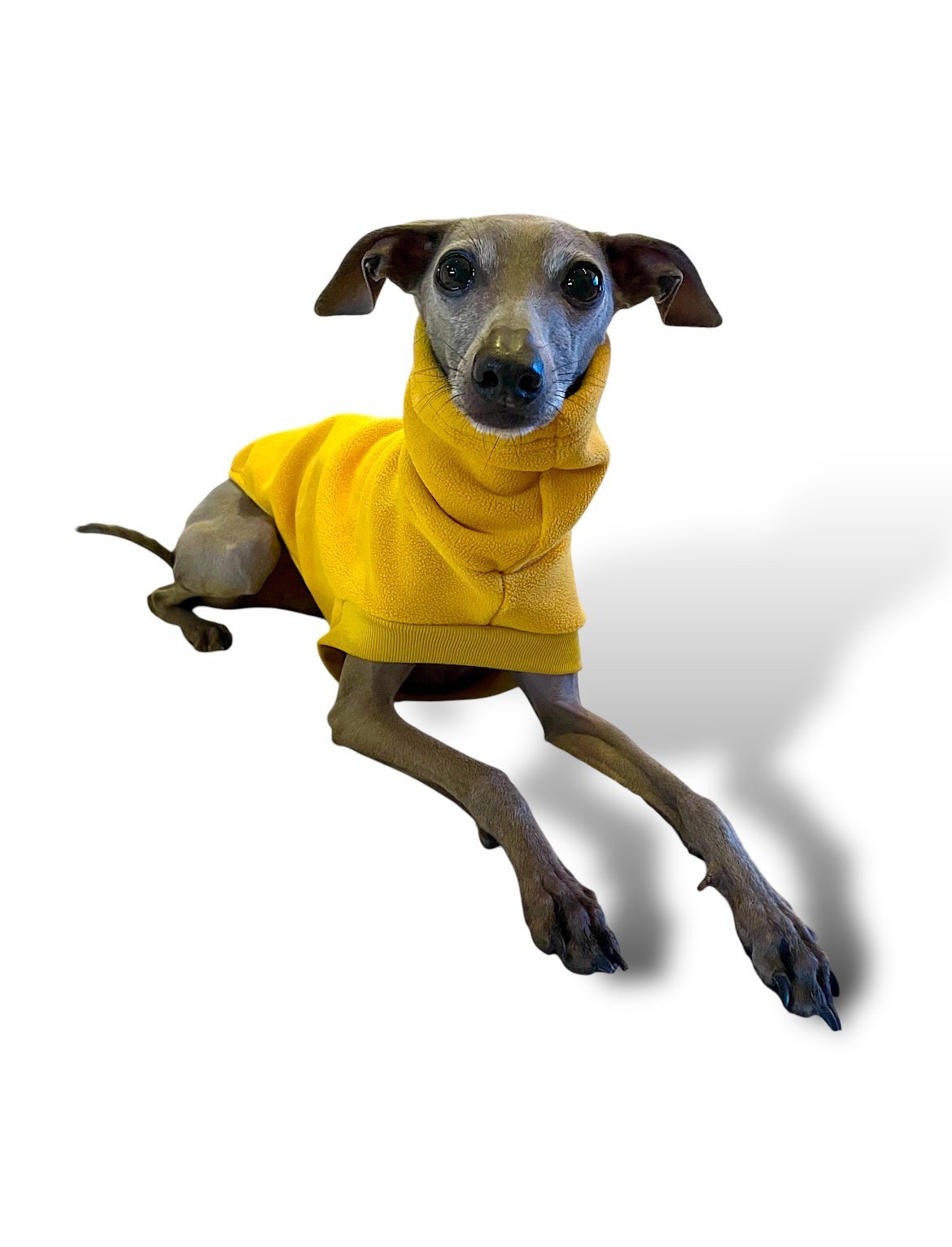 Open-Leg Fleece Vest - Yellow - Pet Supplier Store